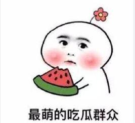 娱乐吃瓜酱分手语录搞笑,笑料百出，揭秘明星分手背后的搞笑瞬间